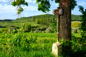 A sign under a tree, in the middle of the green hills, shows the way. Solo Backpacker Trekking on...