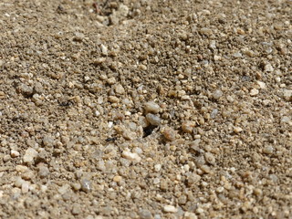 Mélange de sable  et de gravillons 