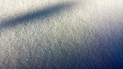 Fresh snow, Denver, Colorado, USA

