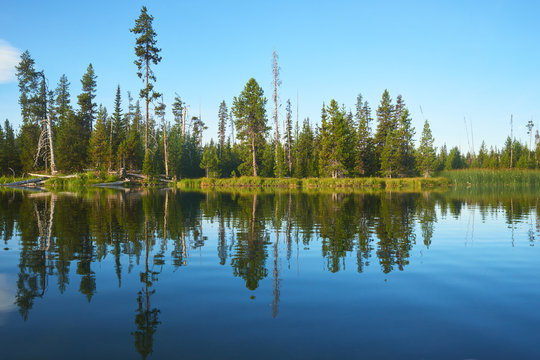 Morning view of the shore of a Hosmer Lake in Central Oregon.