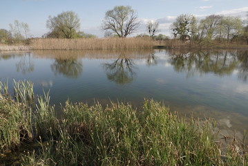 small lake in spring time