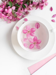 Spring background for the inscription, pink flowers, sakura cherry blossoms, letters, a cup with water and flower petals, top view, frame, copy space flat lay 