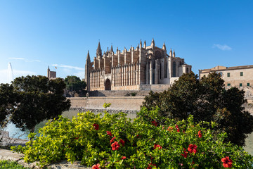 La Seu, Catedral de Palma Mallorca