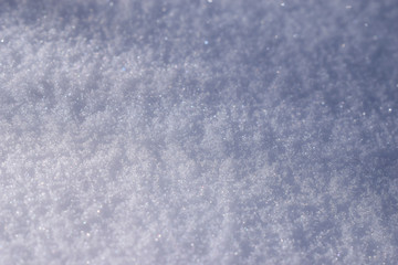 Fresh snow, Denver, Colorado, USA