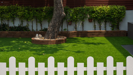 Selective focus at large tree trunk and row of green bush plant on artificial turf in front yard of home with blurred white wooden fence on foreground, home gardening and exterior architecture concept
