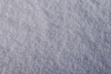 Fresh snow, Denver, Colorado, USA