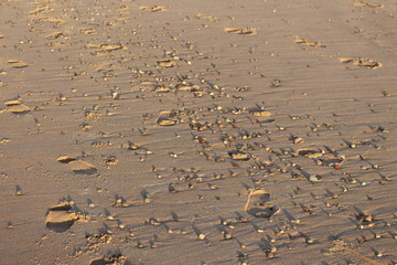 Footsteps in the sand