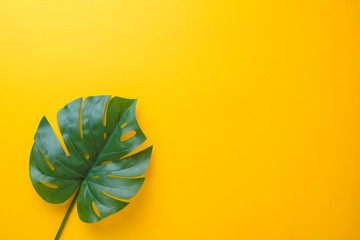 Tropical palm leaves on yellow background with copy space