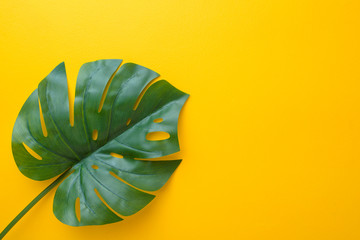 Tropical palm leaves on yellow background with copy space