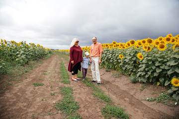 Grandparents spend time with their grandson in a field of sunflowers.