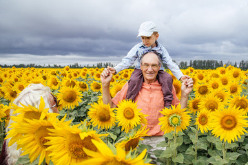 Grandparents spend time with their grandson in a field of sunflowers.