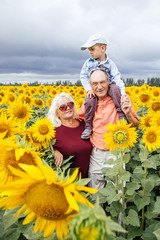 Grandparents spend time with their grandson in a field of sunflowers.