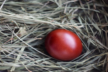 A colored Easter egg lies in a nest on green grass. Chicken egg in a straw nest. The chicken laid an egg. Natural organic homemade products. Happy easter card with copy space for text.