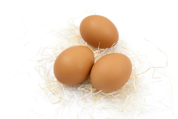 Brown eggs on white background