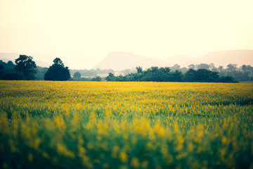 Obraz premium sunset over the tropical mountains, nature landscape scene