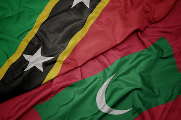 waving colorful flag of maldives and national flag of saint kitts and nevis.