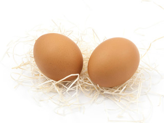 Brown eggs on white background