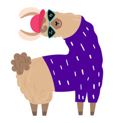 Fashionable llama character in pyjamas, glasses, camp concept and vector illustration on white background. Beautiful and playful herbivore animal, cheerful llama with big ear. Flat style. © Seahorsevector