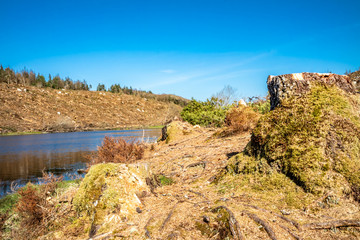 The deforested area at Bonny Glen in County Donegal - Ireland