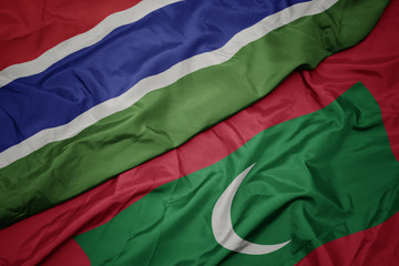 waving colorful flag of maldives and national flag of gambia.