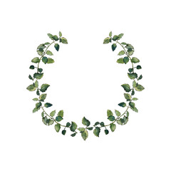 Watercolor painted green floral wreath. Round frame of balm mint leaves isolated on white. For invitations, greeting cards and packaging design.
