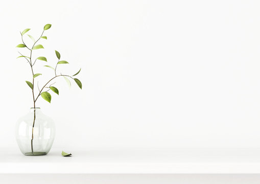 Interior wall mockup with green tree branch in vase standing on the shelf on empty white background with free space. 3D rendering, illustration.