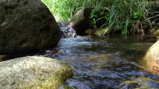 Closeup video of a tiny creek with small amount of pure mountain running water over soil and autumn foliage. 4K viedo Tropical areas in southern Thailand.