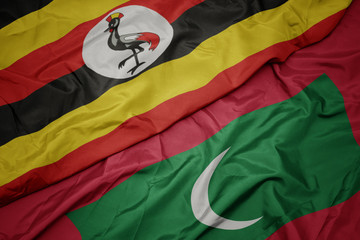 waving colorful flag of maldives and national flag of uganda.