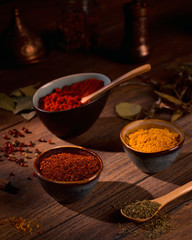 Vertical closeup of paprika, saffron, mint and basil spices