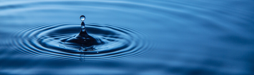 Water splash or water drop.Water drop in sunlight.