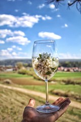 Glass of flowers