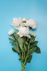 Bouquet of white peonies on a blue background.