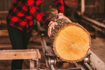 Closeup skilled male carpenter moving cut tree log on sawing machine at woodworking warehouse. Professional sawmill factory worker sawing wood on boards. Timber production mill. Lumber manufacturing