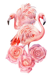 Composition of flowers roses, flamingo birds, isolated background, watercolor drawings, Summer