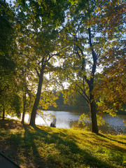 Para siedząca nad brzegiem stawu  pomiędzy drzewami w słoneczny jesienny dzień w parku im. Mickiewicza w Łodzi.