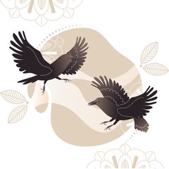 Crow on decorated background in boho style, flying raven vector illustration. Two birds dancing in ethnic ritual, sacred tradition. Crow folklore symbol, raven as spiritual bird in tribal culture