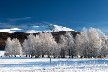 Frosty winter morning in the mountains. View of Tarnica - the highest peak of the Bieszczady Mountains in Poland (1,346 m a.s.l.). Bieszczady National Park, Subcarpathian Voivodeship. © Zbigniew
