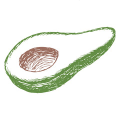 Single element, avocado, hand-draw doodle illustration in vector. Food hand drawn illustration.Design for packaging, weddings, fabrics, textiles, wallpaper, website, postcards.