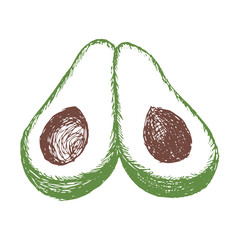 Single element, avocado, hand-draw doodle illustration in vector. Food hand drawn illustration.Design for packaging, weddings, fabrics, textiles, wallpaper, website, postcards.