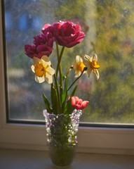 Obraz na płótnie Canvas tulips and daffodils in a vase on the window