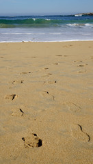 footprints on the beach
