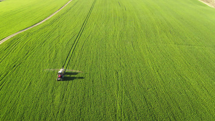 Aerial view of a tractor spraying a field of winter wheat at spring. Farm machinery spraying insecticide to the green field, agricultural natural seasonal spring works.
