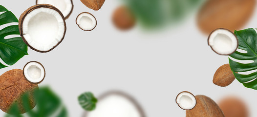 Flying fresh whole and half coconut and green tropical leaf of monstera on light gray background copy space. Creative summer layout with coconuts, tropical fruit. Minimal flat lay style, food concept