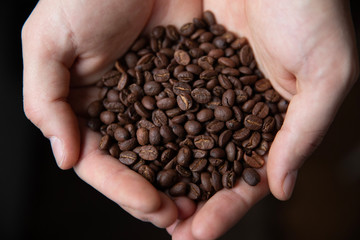 Roasted coffee grains in the hands of a male barista on a black background  with place for text, copy space.