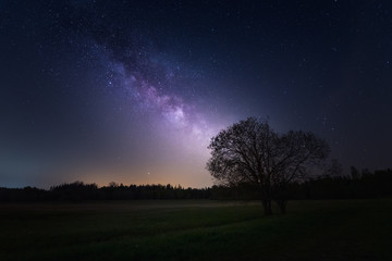 Fototapeta na wymiar Silhouette of Trees On Field Against Night Sky and the Milky way / Galactic core