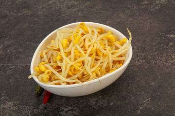 Soy sprout heap in the bowl