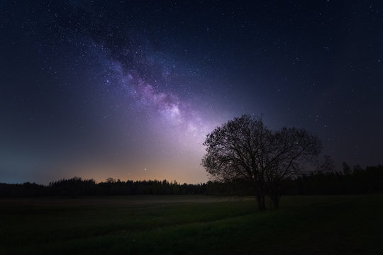 Silhouette of Trees On Field Against Night Sky and the Milky way / Galactic core - Powered by Adobe