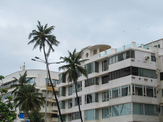 Fototapeta na wymiar House with palms