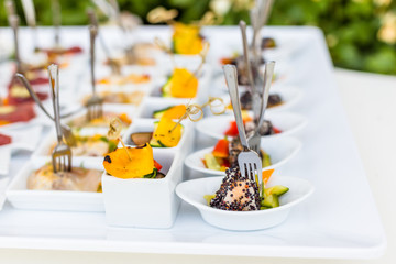 variety of fish appetizers and finger food