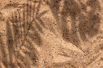 Sand on the beach concept frame with tropical leaves shadows. Summer top view. Copy space